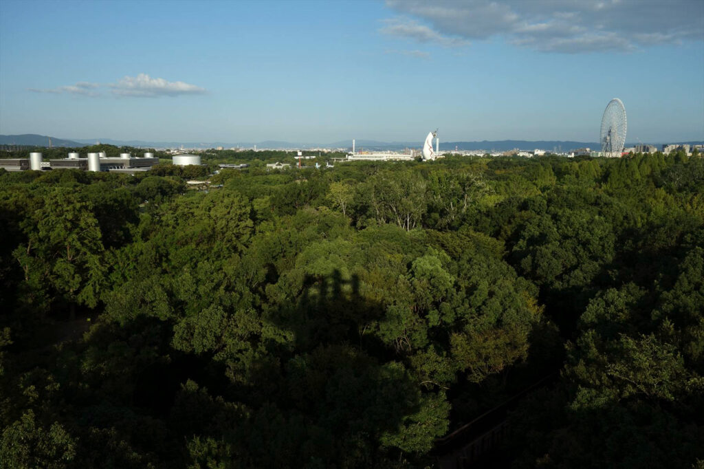 千里万博記念公園 自然文化園