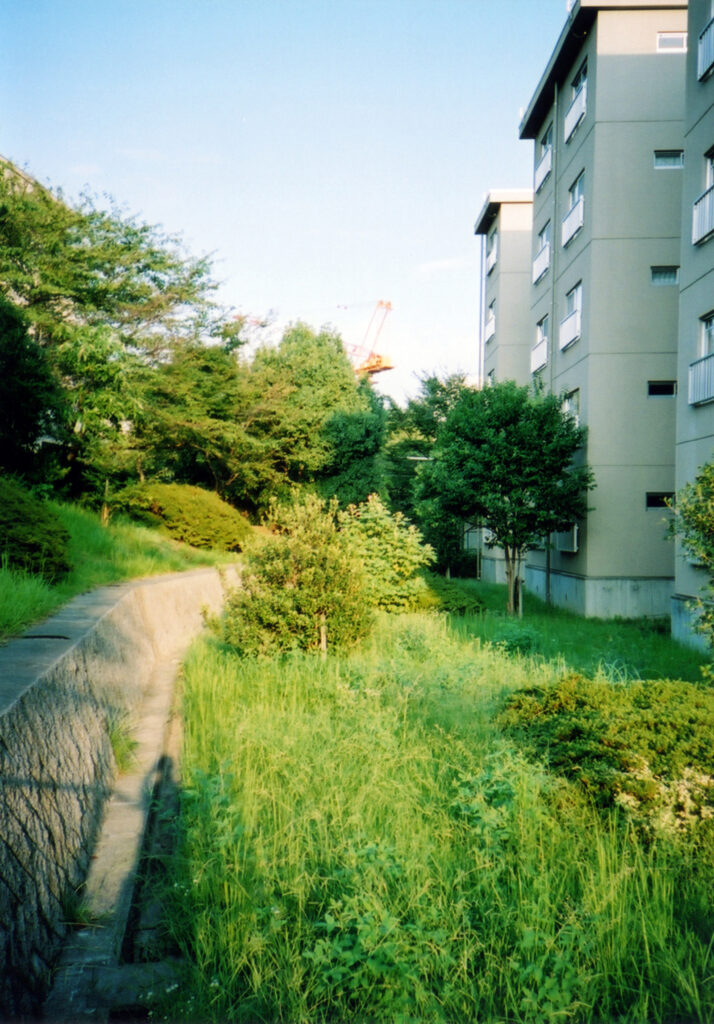 昔の佐竹台1丁目