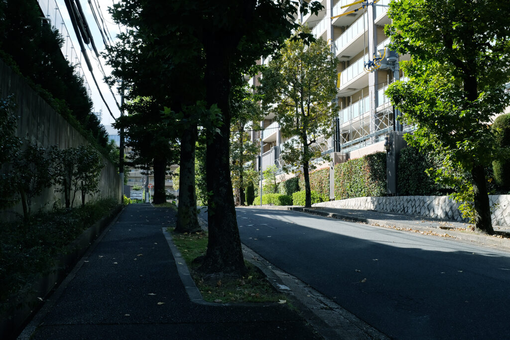 現在の佐竹台1丁目